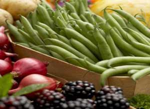 fresh berries - get them while you can!